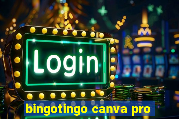 bingotingo canva pro