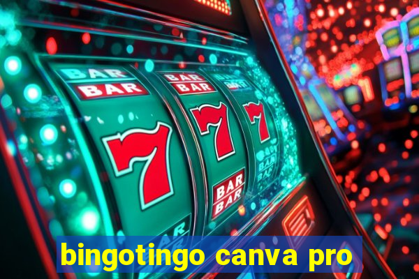 bingotingo canva pro