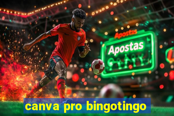 canva pro bingotingo