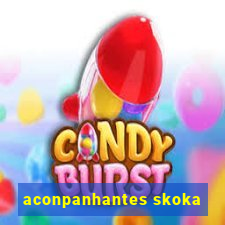 aconpanhantes skoka