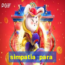 simpatia para ganhar no bingo de cartela