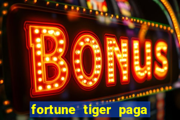 fortune tiger paga de madrugada