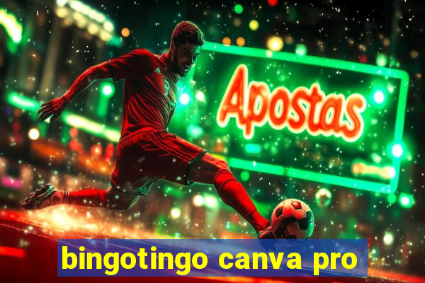 bingotingo canva pro