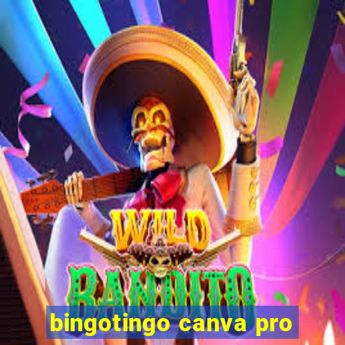 bingotingo canva pro