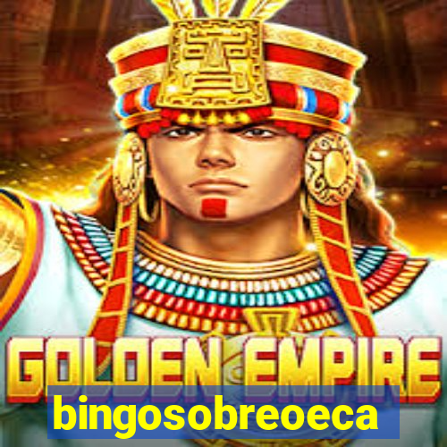 bingosobreoeca