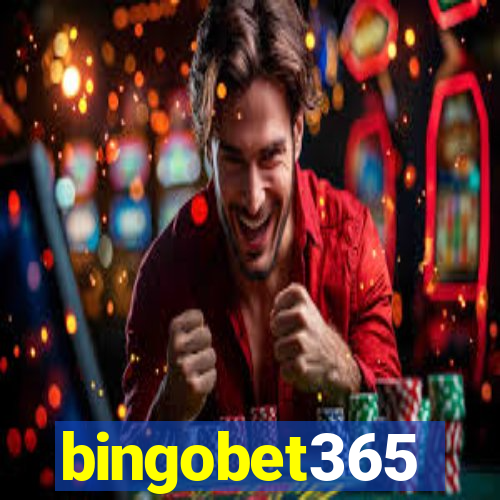 bingobet365