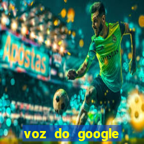 voz do google tradutor homem